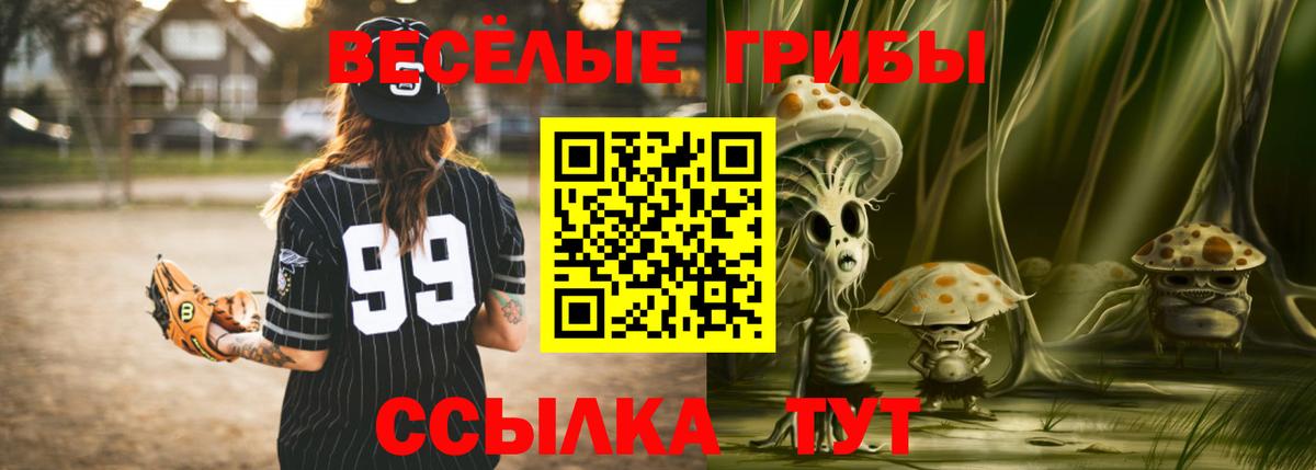 где купить   Галлюциногенные грибы Psilocybine cubensis  Вход с VPN  Кострома 